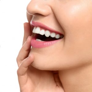 Prestations IMG 0322 300x298