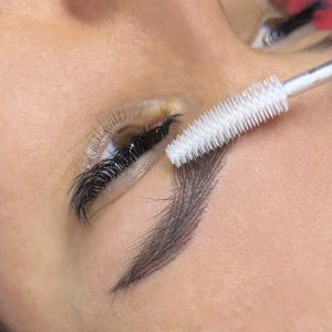 Prestations img 8681